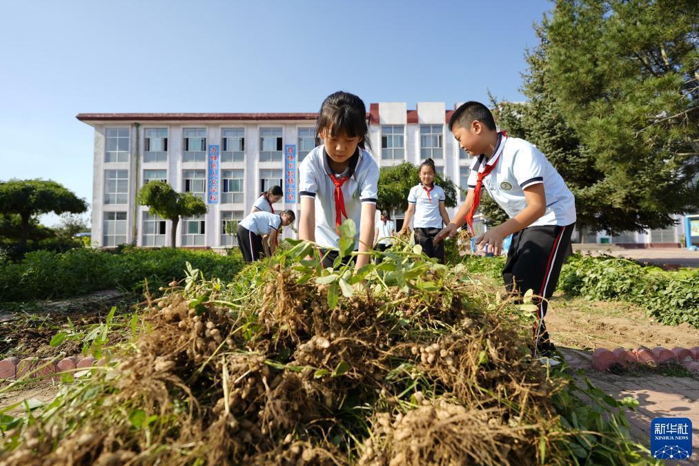 真人白家乐庄闲下载